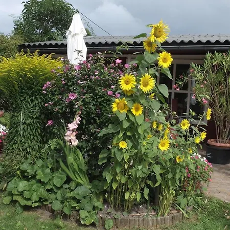 Holiday home Allegra